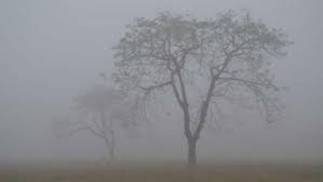 তাপমাত্রা ও কুয়াশা নিয়ে নতুন তথ্য দিয়েছে আবহাওয়া অফিস